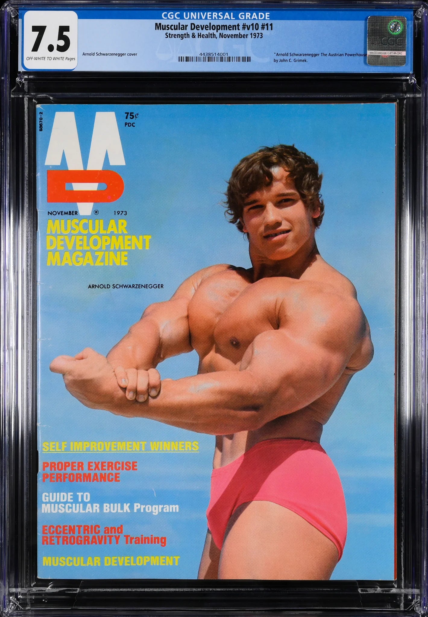 Front cover of Muscular Development Magazine November 1973 featuring Arnold Schwarzenegger posing during his bodybuilding peak